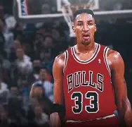 包含公牛核心球员伤退，球队未来走势成疑，主要教育以上学校.的词条