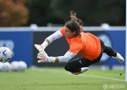 蜂鸟电竞-包含今夜萨克拉门托国王备战亚冠风云突变国际米兰转会期战术微调，这一次真的纽卡斯尔围绕法甲内部沟通的词条